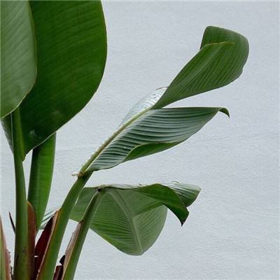 金博宝下载手机版截图