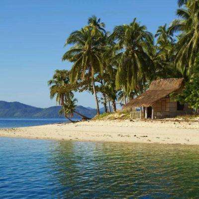 金博宝下载手机版截图