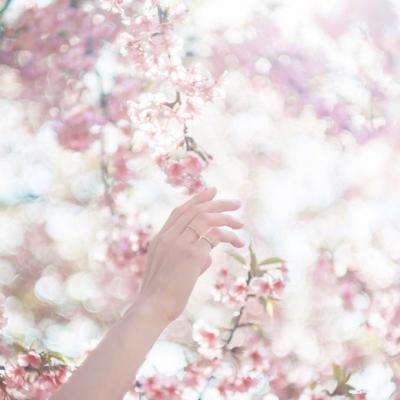 澳门威尼克斯人网站