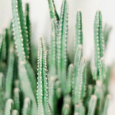 大众彩票入口welcomeapp下载截图